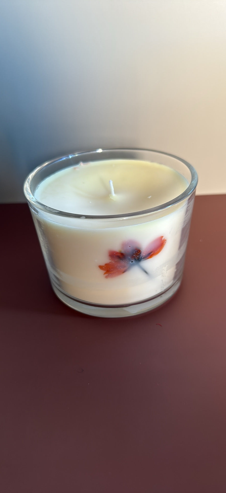 Slow burning soy candle